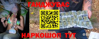 гашик Кузнецк