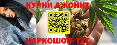 гашик Кузнецк